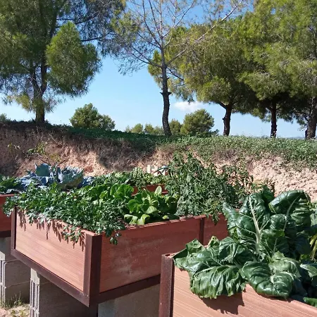 Romegosa Benestar Holiday home Sant Marcal