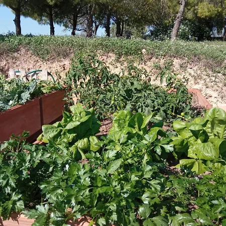 Romegosa Benestar Sant Marcal
